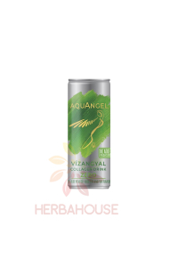 Obrázek pro Vízangyal Nízkoenergetický nápoj s kolagenem se sladidlem - příchuť Hruška a Aloe Vera (250ml)