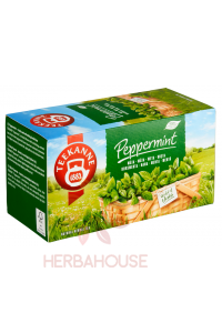 Obrázek pro Teekanne Mátový čaj porcovaný (20ks)