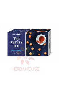 Herbária Zimní kouzlo Ovocný čaj s příchutí černého rybízu porcovaný (20ks) Obrázek pro Herbária Zimní kouzlo Ovocný čaj s příchutí černého rybízu porcovaný (20ks)