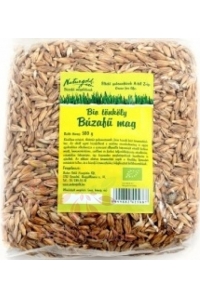 Obrázek pro Naturgold Bio Pšenice špaldová neloupaná na pěstování zelené pšenice (500g)